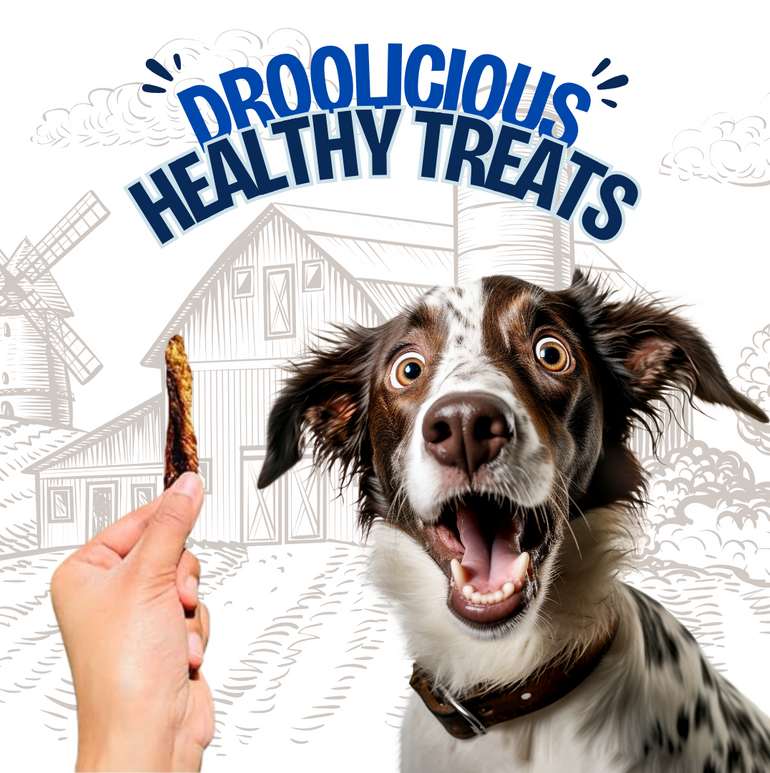 Tuna Fillet Boneless Jerky Strips Dehydrated Natural Healthy Dog Treat