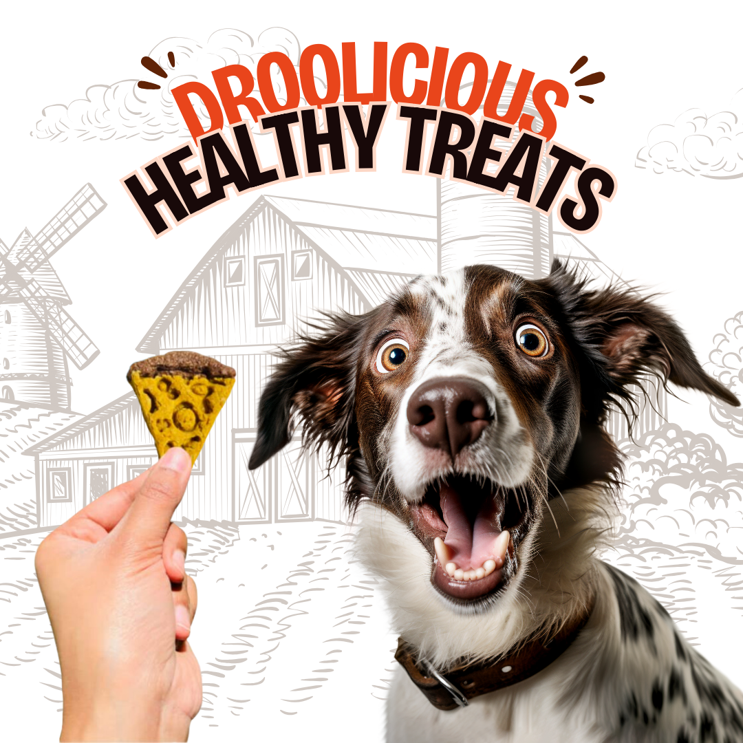 Mini Pawzza Chicken Cookies Natural Healthy Cat Treat & Snacks