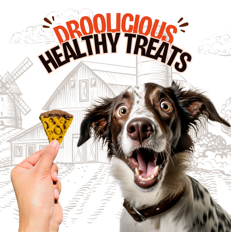 Mini Pawzza Chicken Cookies Natural Healthy Cat Treat & Snacks