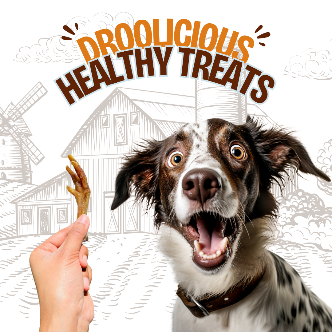 Chicken Feet Chew Dehydrated Natural Healthy Dog Treat