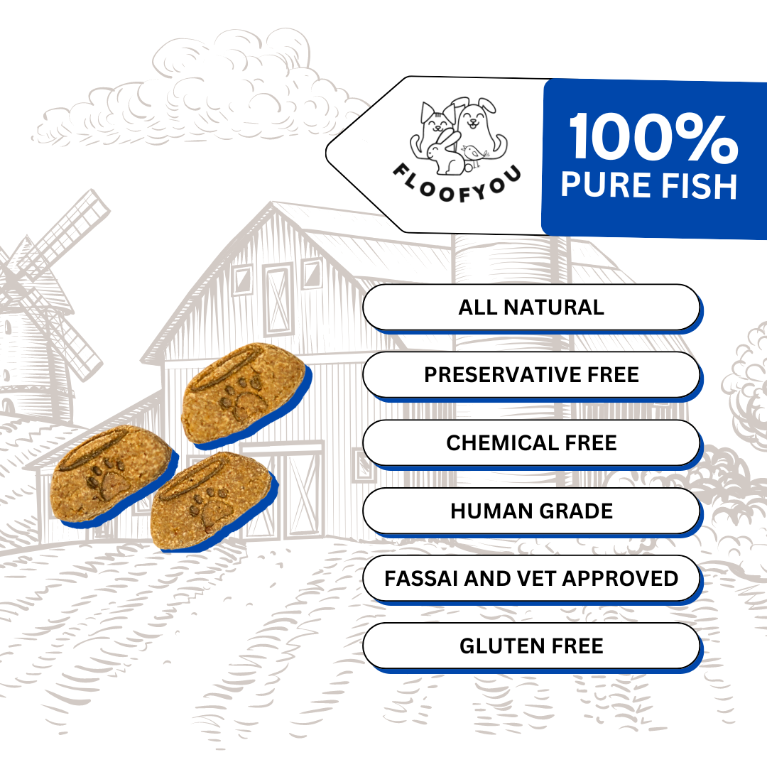 Fish Bite-sized Natural Healthy Dog Treat, Cookies, Biscuits & Snacks