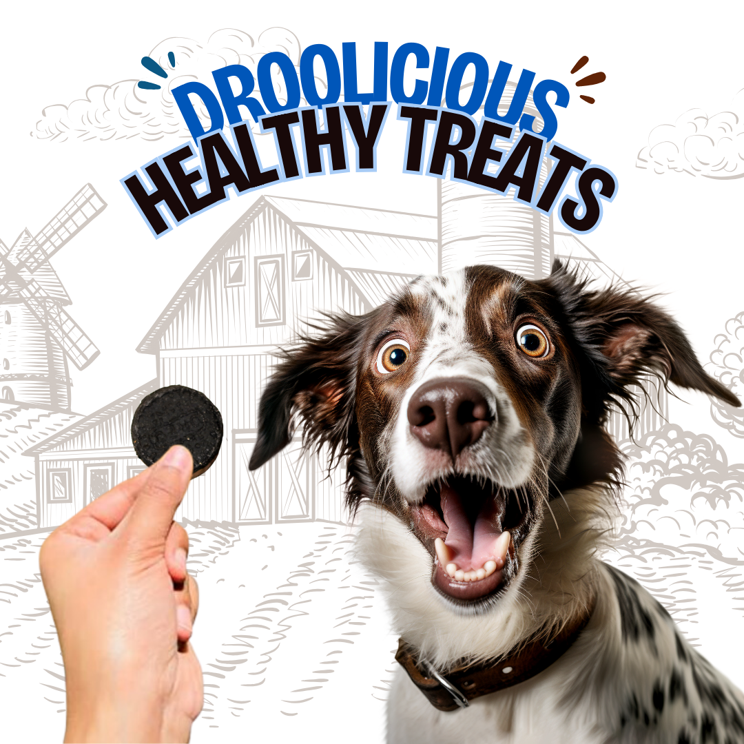 Mini FI-Oreo Chicken Dog Treat