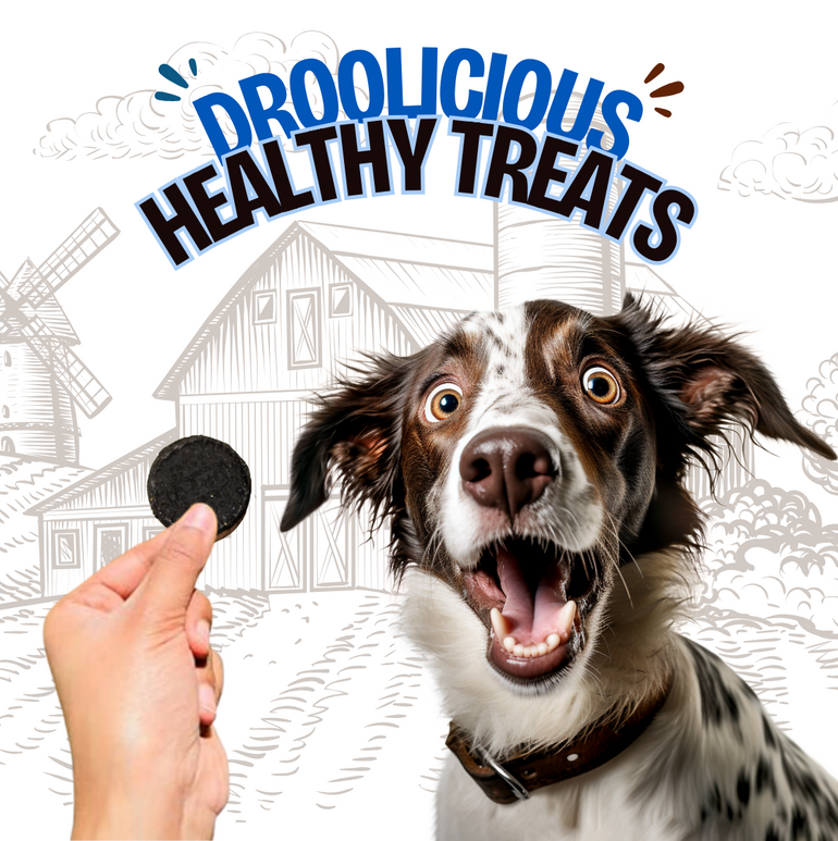 Mini FI-Oreo Chicken Dog Treat
