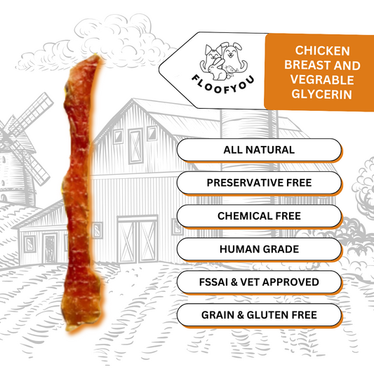 Dehydrated Chewy Chicken Tenders Jerky Strips for Young & Seniors Natural Healthy Dog & Cat Treat