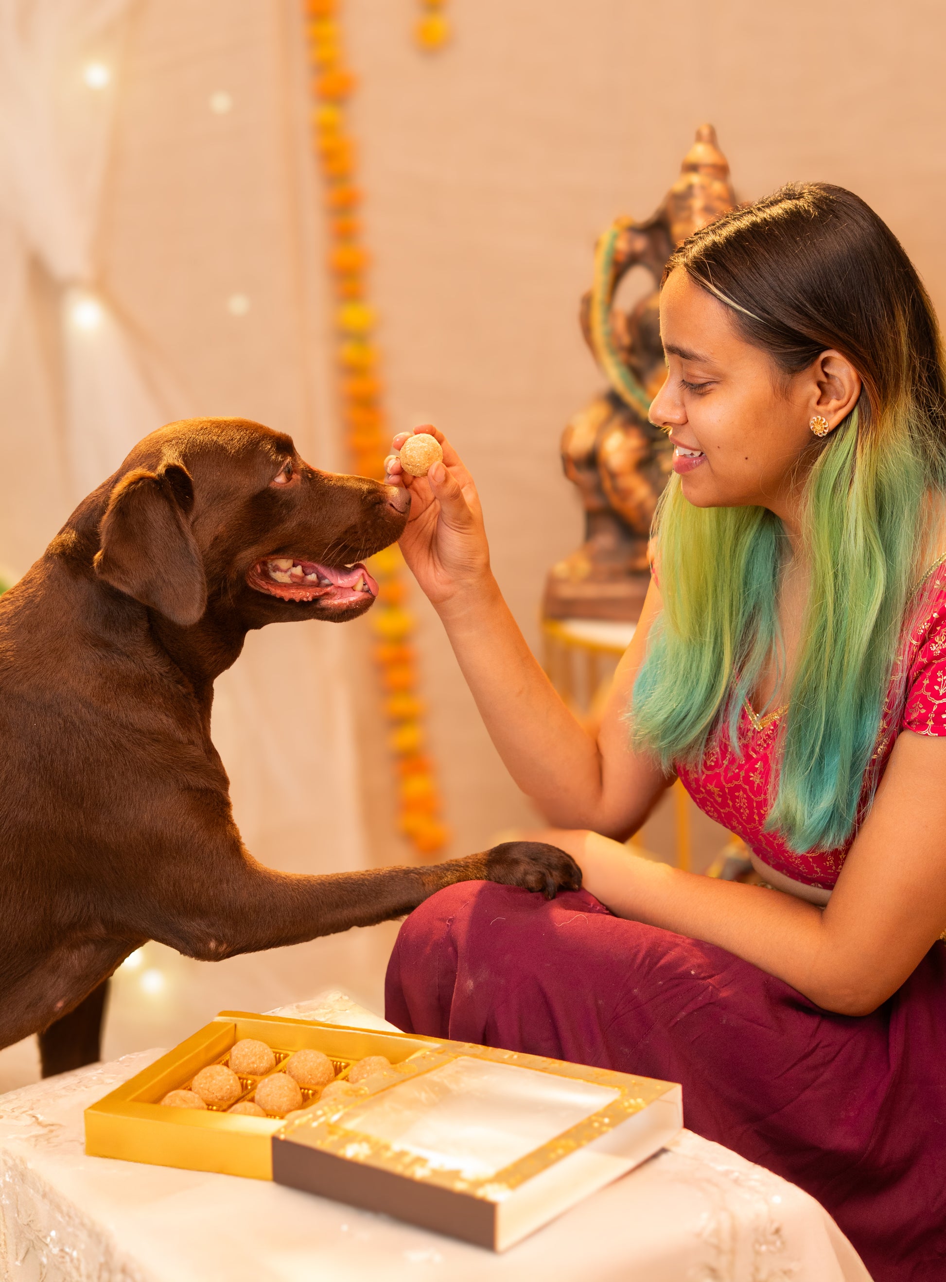 Mithai Box Treat, Snack & Cookies for Dogs