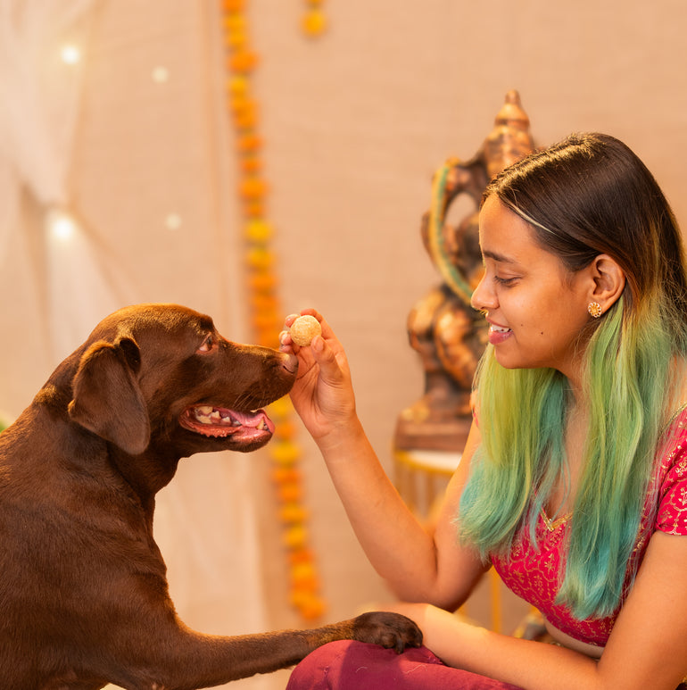 Mithai Box Treat, Snack & Cookies for Dogs