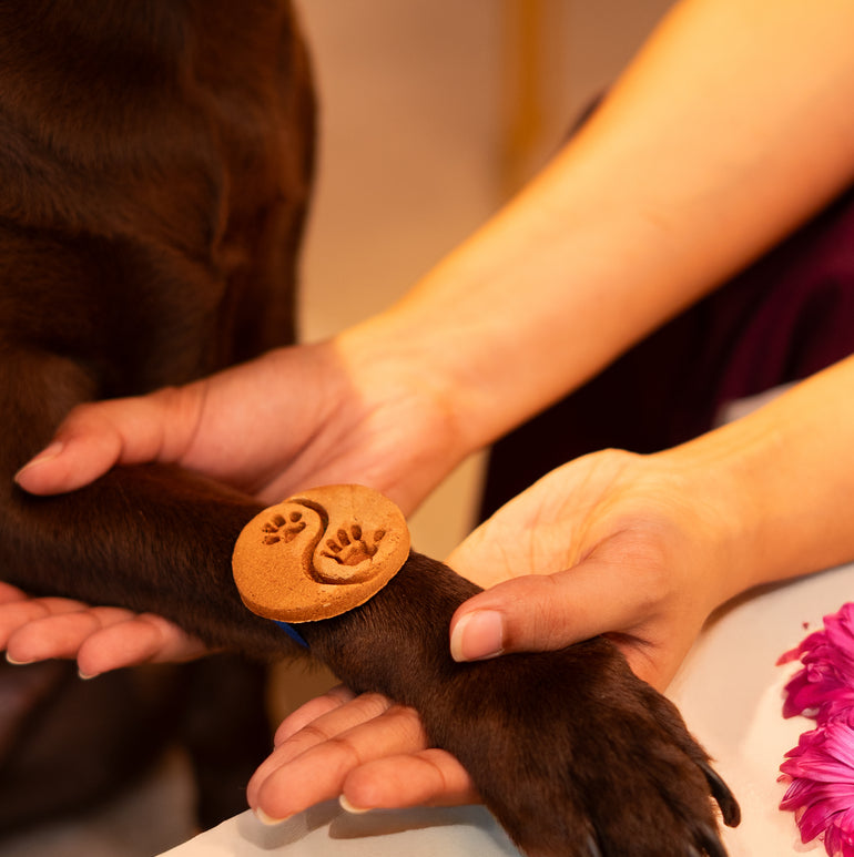 Pawkhi Edible Treat, Snack & Cookies for Dogs & Cats