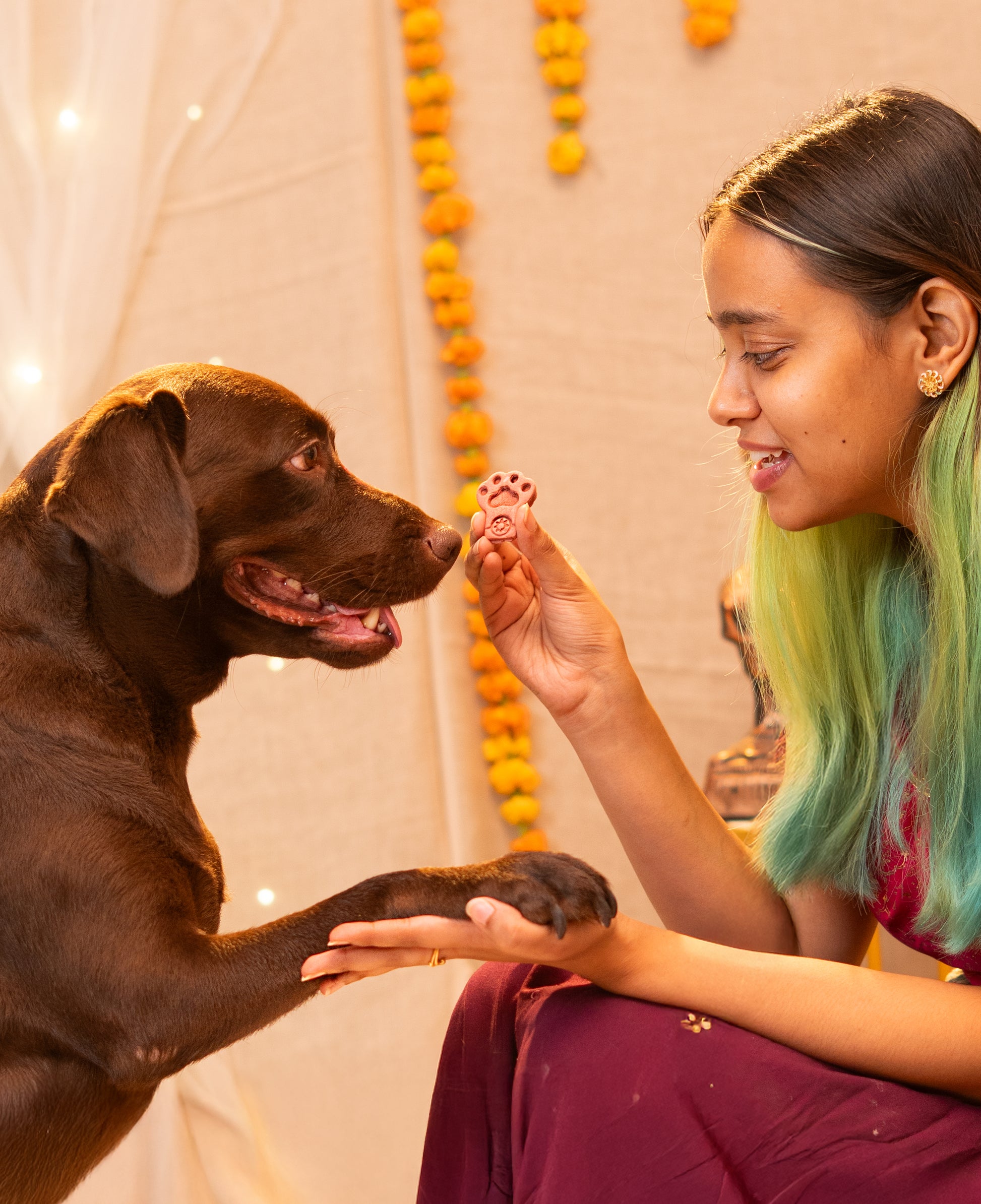 Pawbandhan Hamper Treats, Snacks & Cookies for Dogs