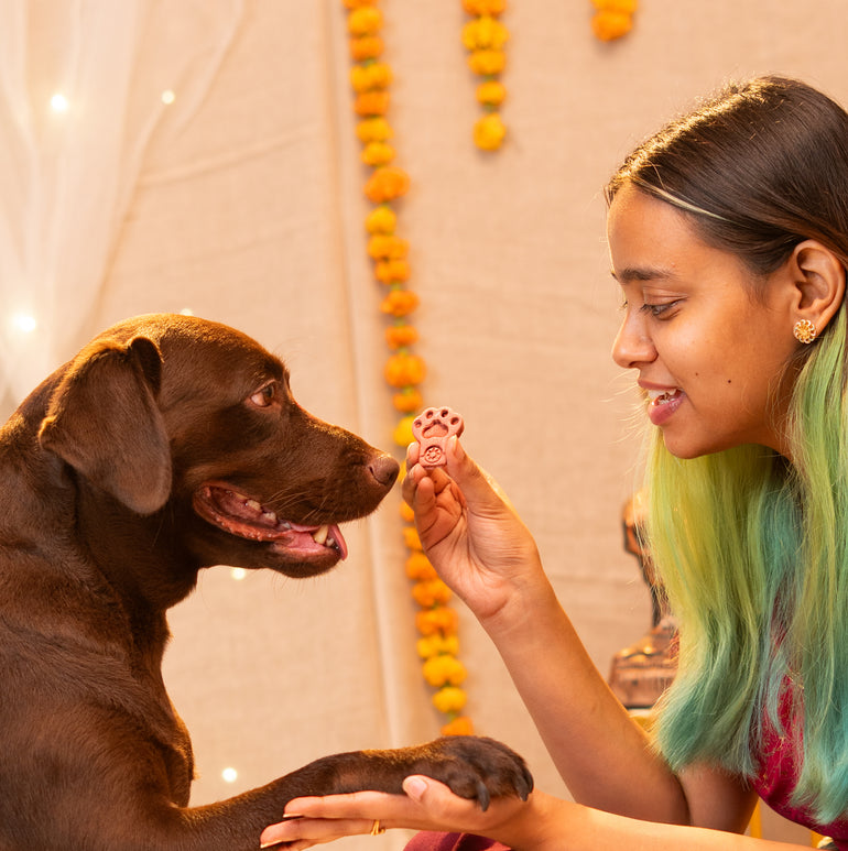 Pawbandhan Hamper Treats, Snacks & Cookies for Dogs