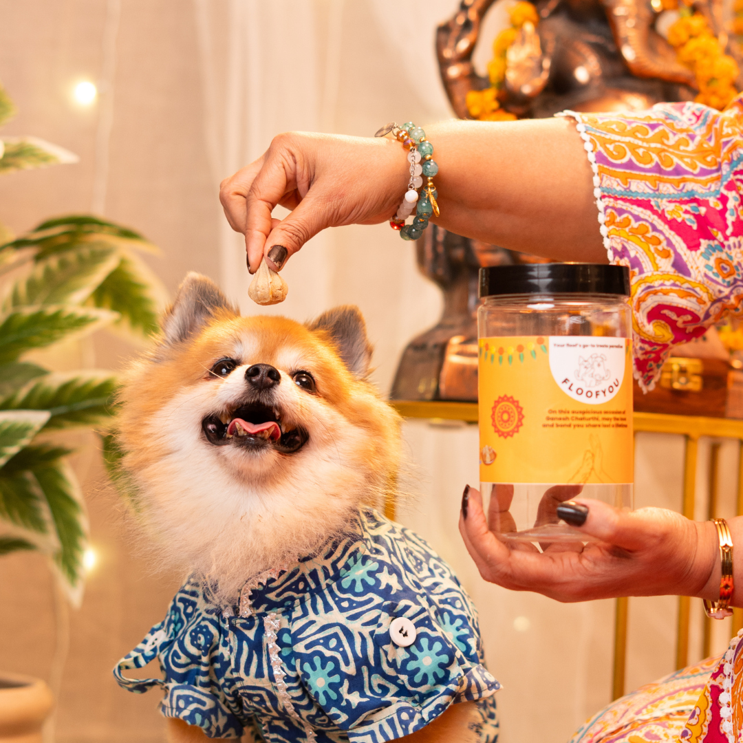 Ganesh Chaturthi Special Treats, Snacks & Cookies for Dogs & Cats