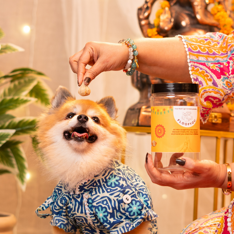 Ganesh Chaturthi Special Treats, Snacks & Cookies for Dogs & Cats
