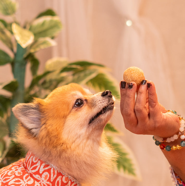 Pawbandhan Hamper Treats, Snacks & Cookies for Dogs