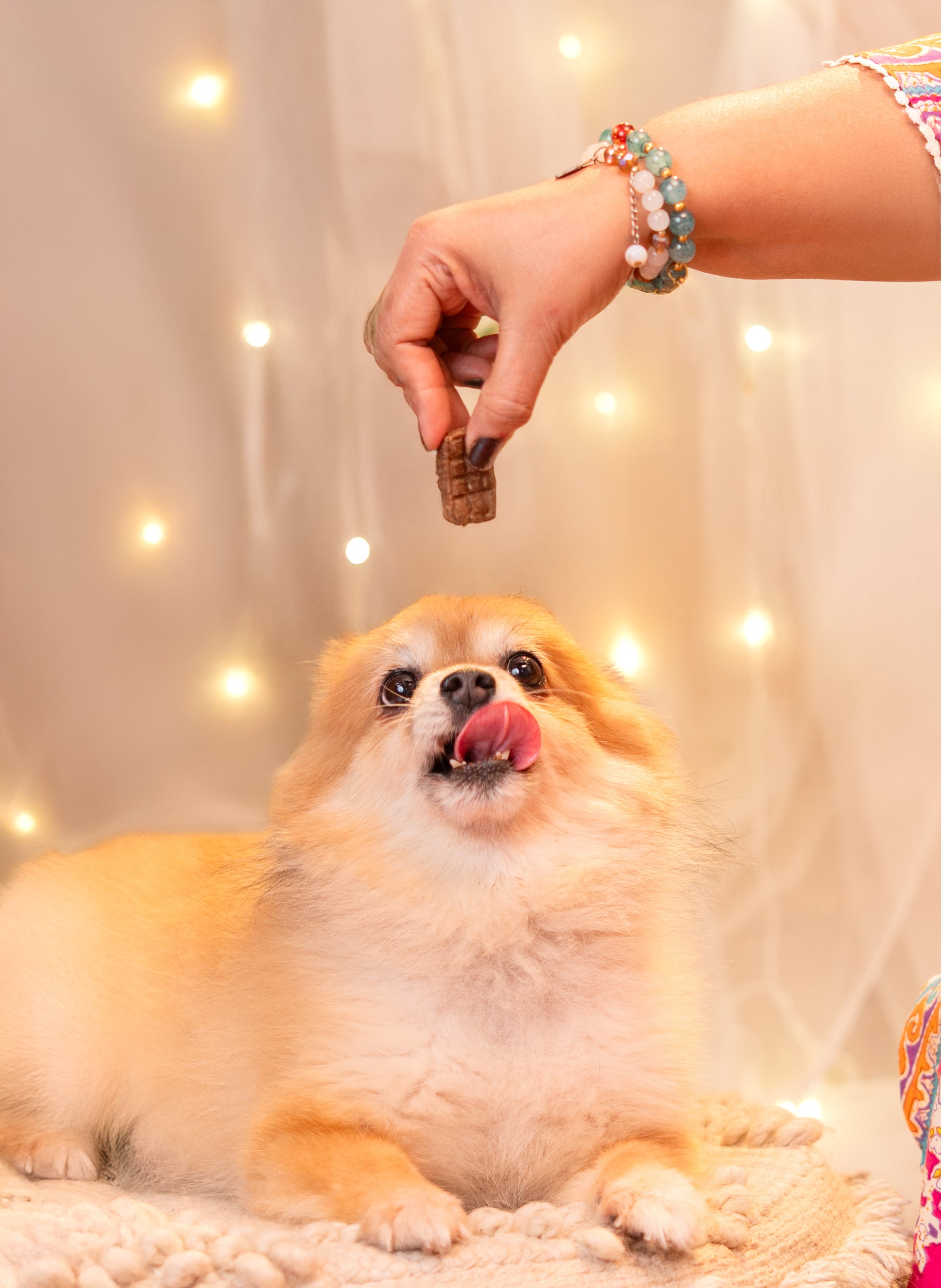 Pawbandhan Hamper Treats, Snacks & Cookies for Dogs