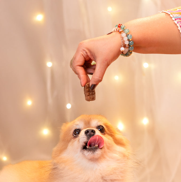Pawbandhan Hamper Treats, Snacks & Cookies for Dogs