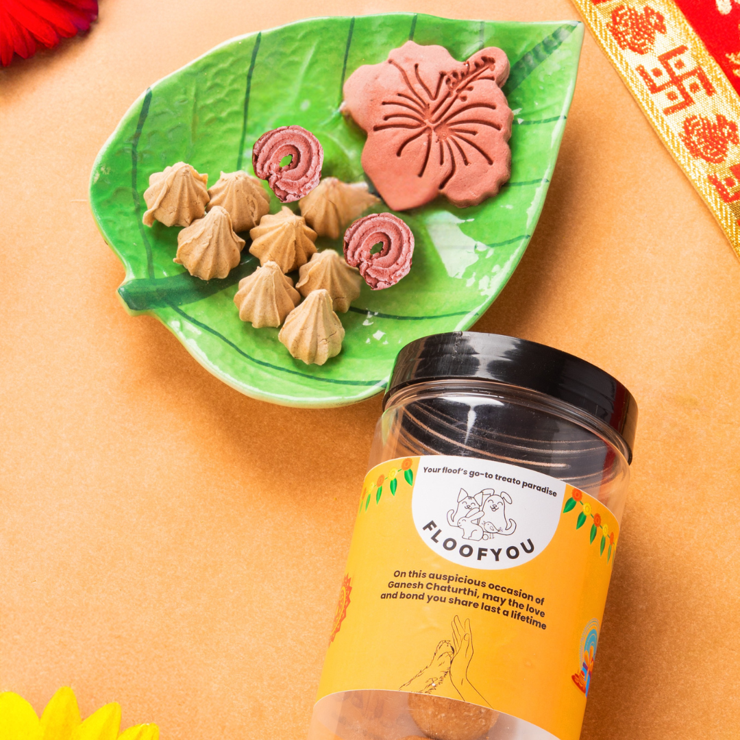 Pawdak Hamper Treats, Snacks & Cookies for Cats