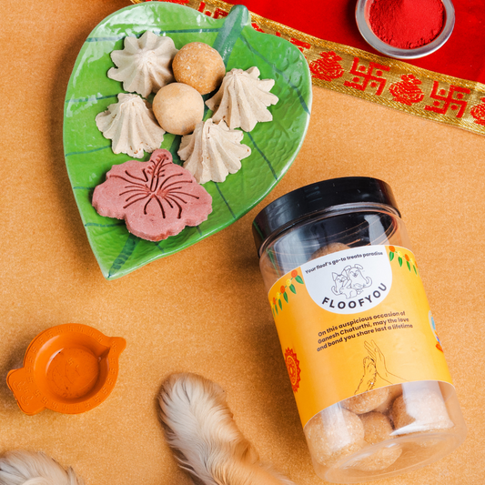 Ganesh Chaturthi Hamper Treats, Snacks & Cookies for Dogs & Cats
