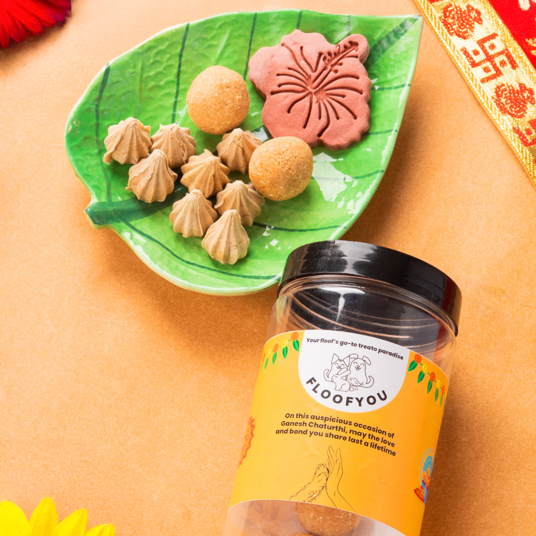 Ganesh Chaturthi Hamper Treats, Snacks & Cookies for Dogs & Cats