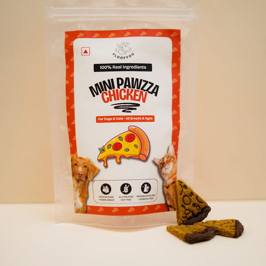 FloofYou Mini Pawzza Chicken Cookies Natural Healthy Dog & Cat Treat Snacks