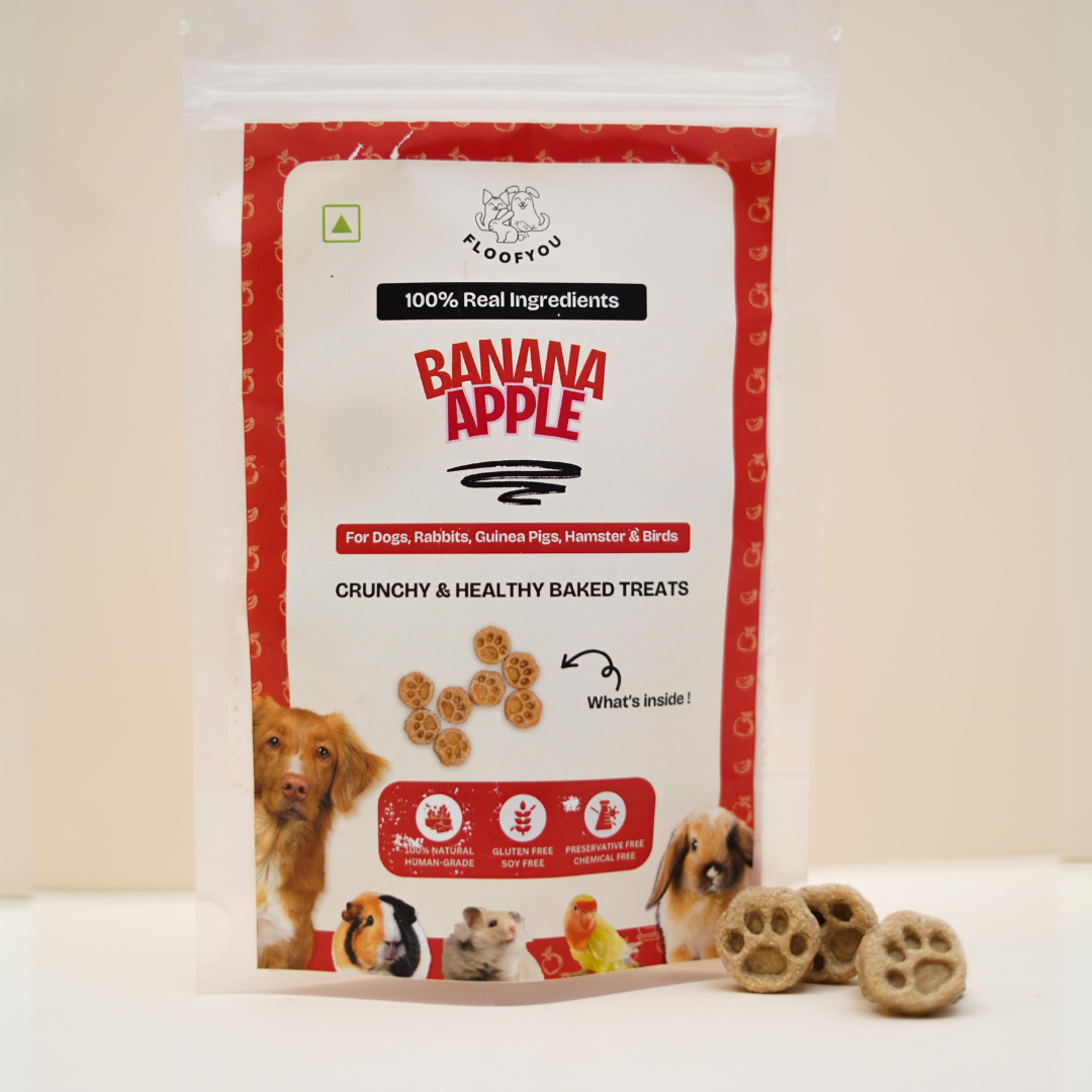 Banana-Apple Bite-sized Pure Veg Natural Healthy Treat for Rabbits, Gu ...