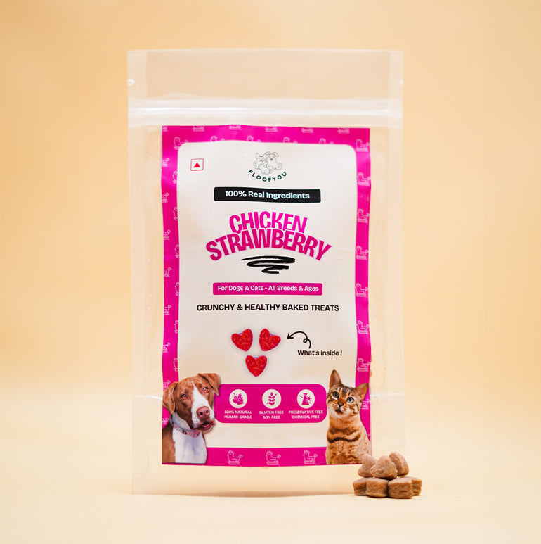 Chicken Strawberry Small Natural Healthy Dog Treat for Training